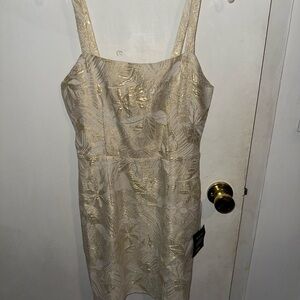 Lulu's Cream Elegant Dress